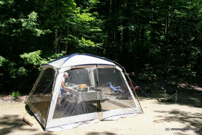 Spaccious sites at Little River State Park with lots of trees