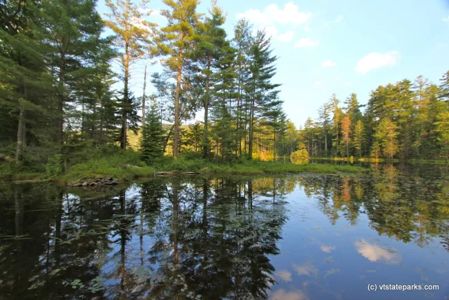 Reflections at Lowell Lake State Park by Lene Gary