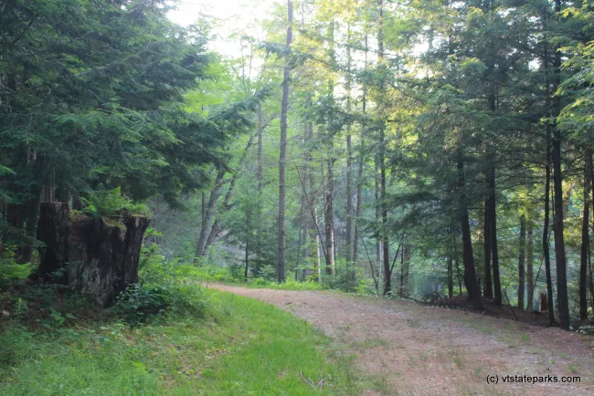 Roadway at Lowell Lake State Park by Lene Gary
