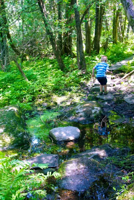 Little guy climbs rocks at Lake Carmi State Park by Amy Chess