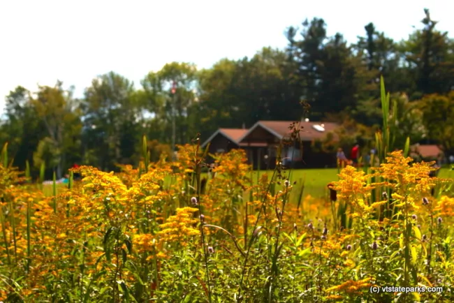 Bright colors at Silver Lake State Park by Cara Goodenough