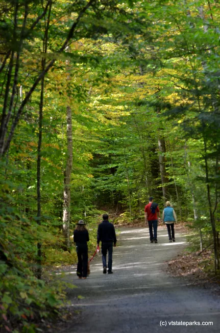 Peaceful walking on the road at Jamaica State Park by Linda Carlsen Sperry