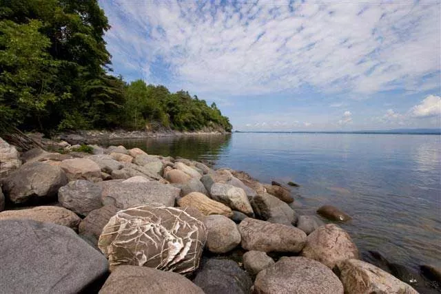 Shoreline, Knight Island State Park