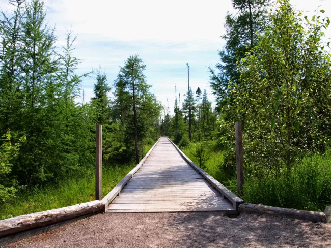 Walkway through the forest at Lake Carmi State Park by Matt Parsons