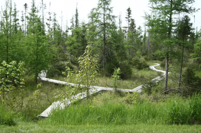 Boardwalk at Lake Carmi State Park by Mark & Kim Sweeney