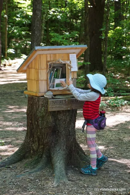 A girl checking out a book from nature's library at Niquette Bay State Park by Jessica Clarke
