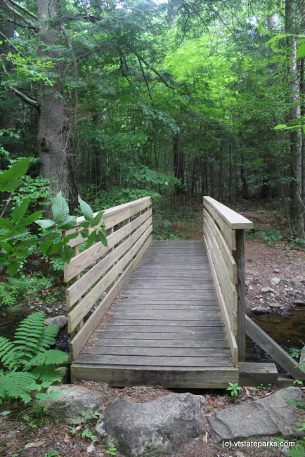 Follow the bridge into the forest at Lowell Lake State Park by Jess Lubas