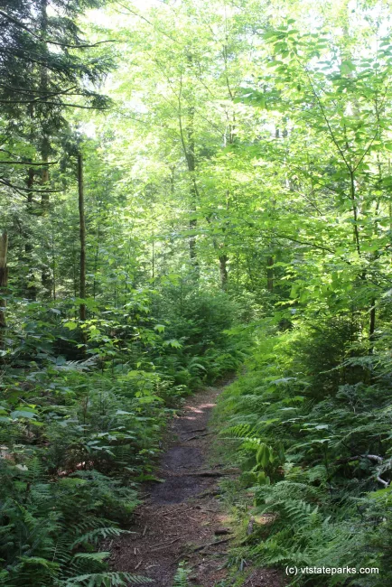 Scenic trail at Lowell Lake State Park by Jess Lubas