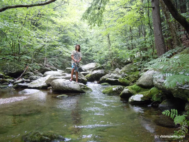 Cobb Brooke at Jamaica State Park