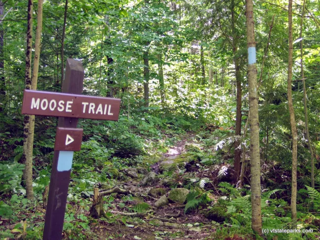 A nice walking trail at Maidstone State Park