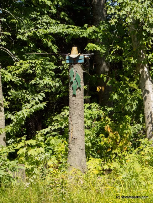 No really it is a fishing polie with fish at Maidstone State Park by Kristy Willey