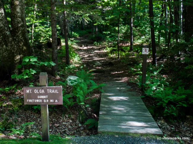 The pathway to Mt Olga Trail in Molly Stark State Park by Tara Schatz