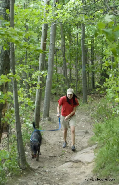Mt Philo: Beca Pincus, of Shelburne, walks the trails at Mt Philo with her dog. Photo by Karen Pike