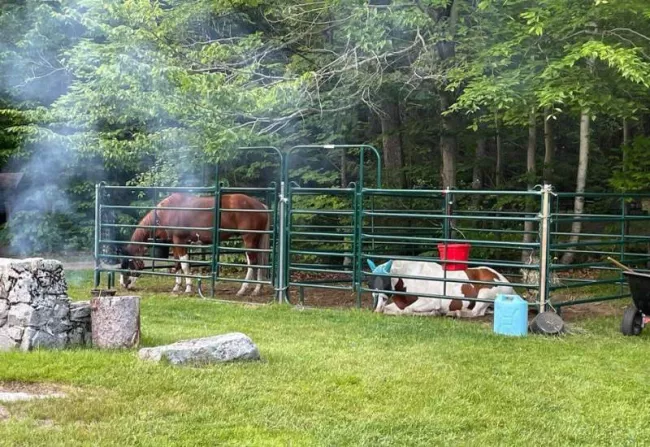 One of the horse camping sites at New Discovery
