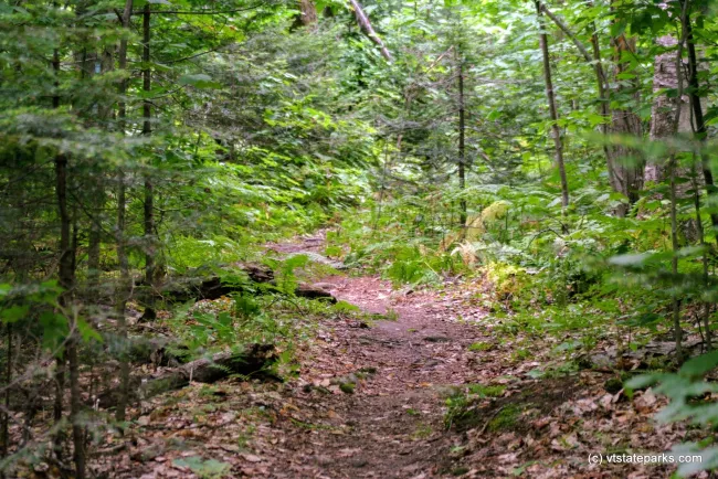Trail to Owls Head