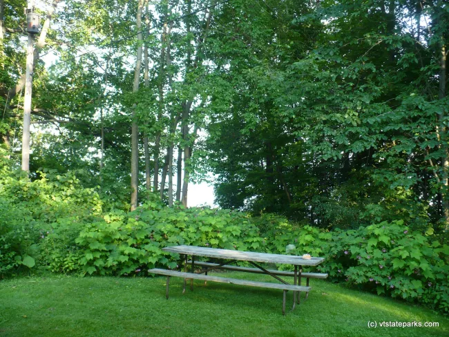 View from the porch of Cabin Sedge at Grand Isle State Park by Julie Nichols