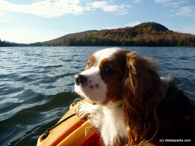 I love this kayak trip at Stillwater State Park by Justin Lajoie
