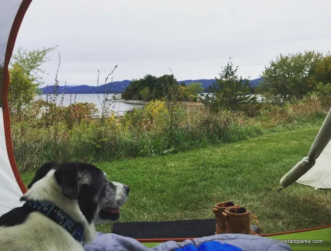 Wondering what my friend is planning today at Button Bay State Park by Sherbine