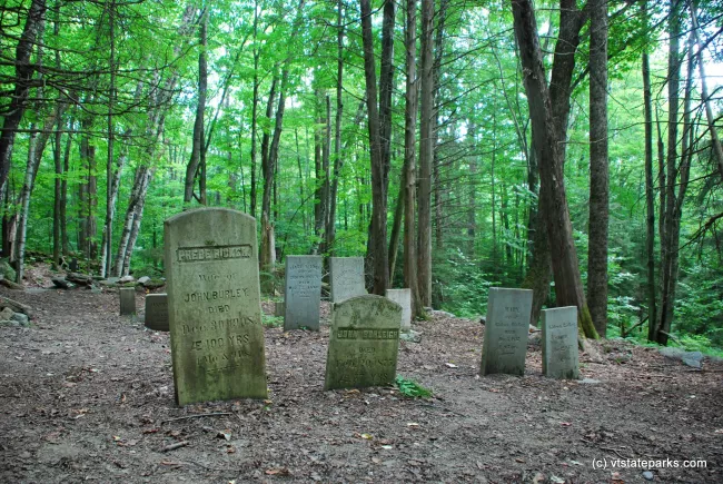 Ricker Cemetery at Little River State Park by Linda Carlsen Sperry