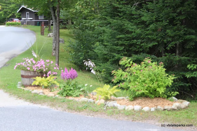 Flowers and contact station at Stillwater State Park