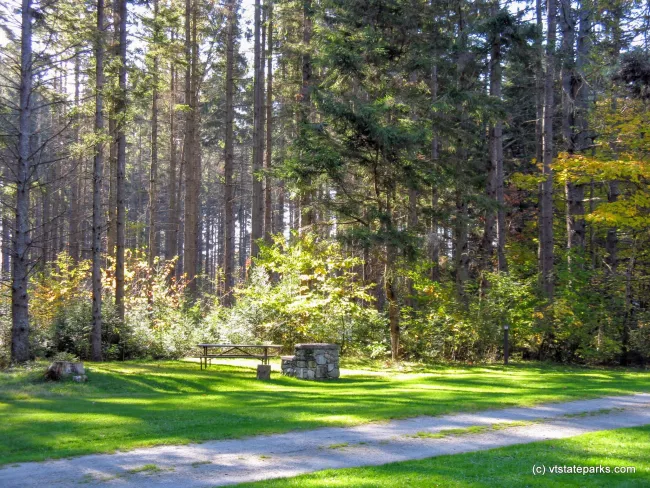 Campsite among the pines at New Discovery State Park by Debbie Thomas