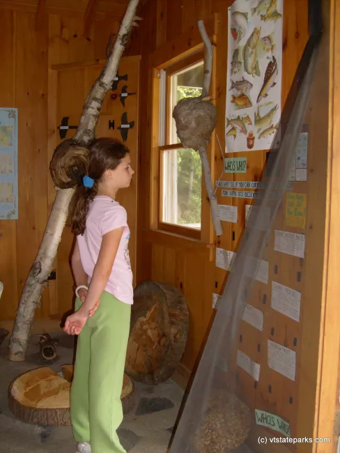 Checking out the displays at Groton Nature Center, near Boulder Beach State Park by Michelle Boucher