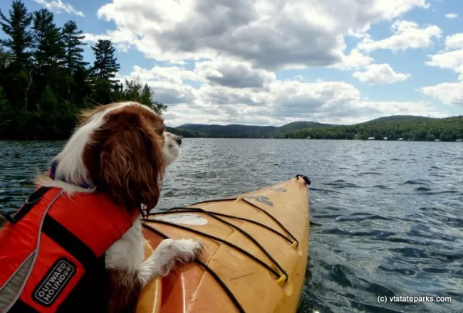 A dog companion on a kayak at Maidstone State Park