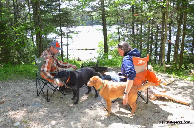 Friends and pets relaxing at Woodford State Park by Linda Carlsen-Sperry