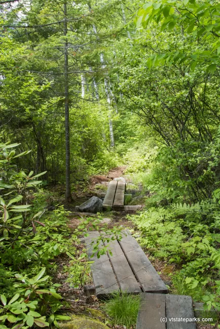 Trail made with wooden slabs at Kettle Poind State Park by Karalyn Mark