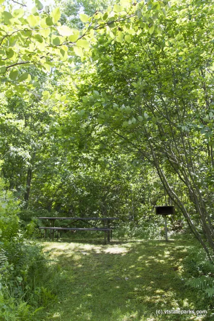 There a a lot of individual picnic spots at Boulder Beach State Park by Karalyn Mark