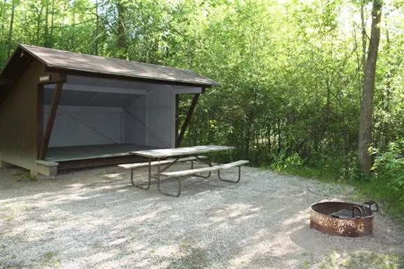Basswood lean-to