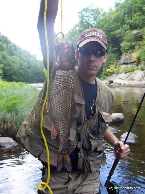 From Ryan Murray: Near record Fall Fish caught on the West River at Jamaica State Park