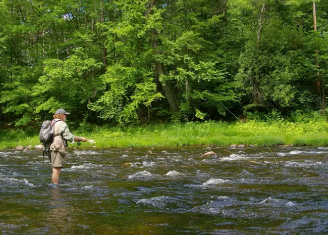 Fly fishing on the West River, Jamaica State Park