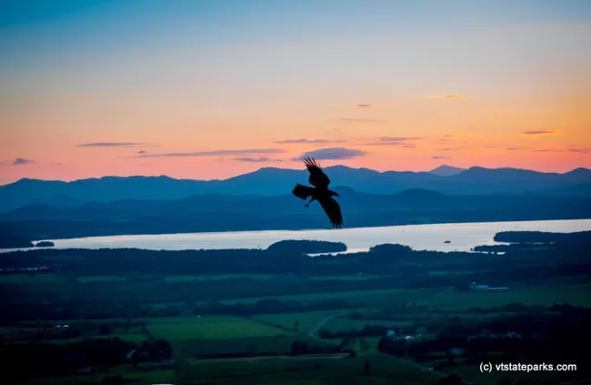 Raven seen from top of Mt Philo by Kim Frigault