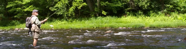 Jamaica State Park 1