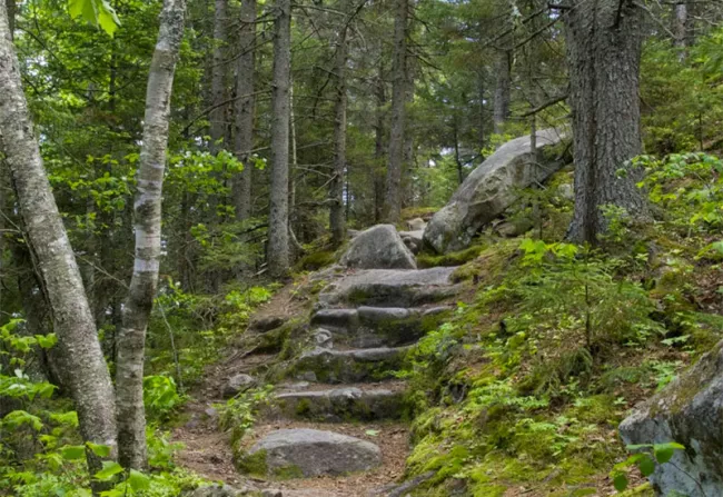 The trail leading up Owl's Head