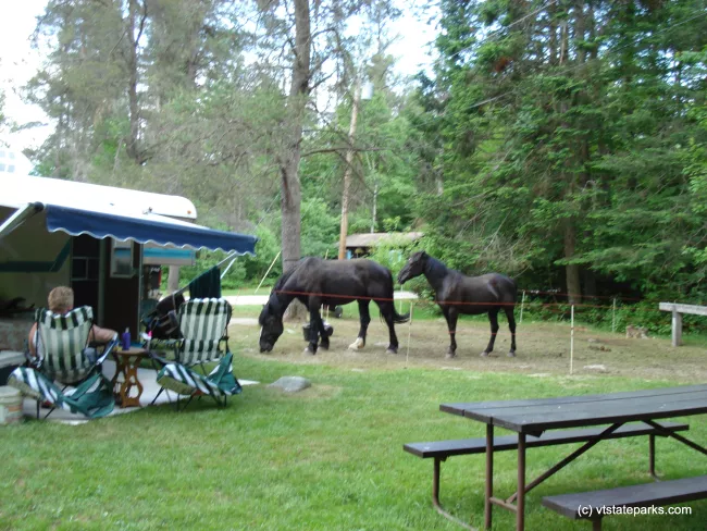 Horse camping at New Discovery State Park