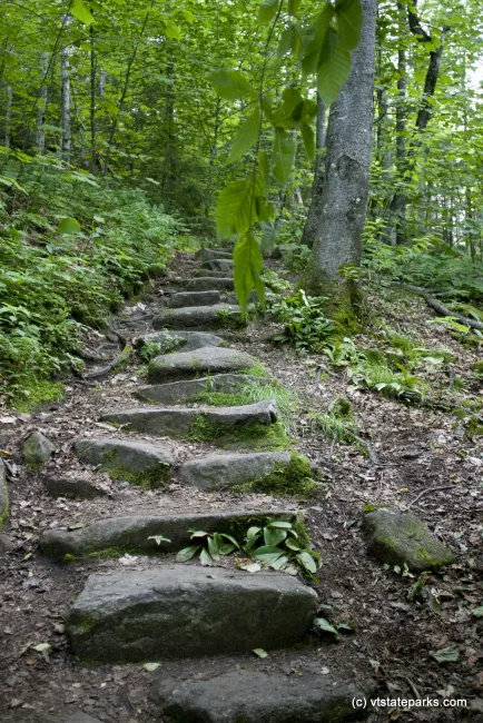 Trail to Owls Head at New Discovery State Park by Ellie Stover
