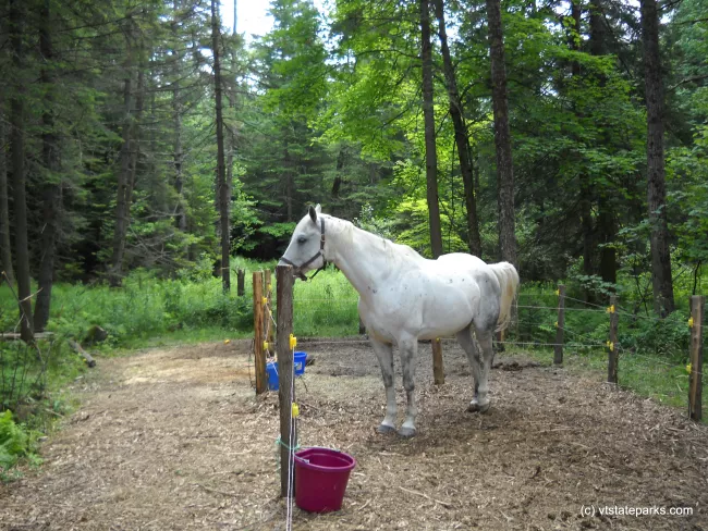 Horse camping at New Discovery State Park