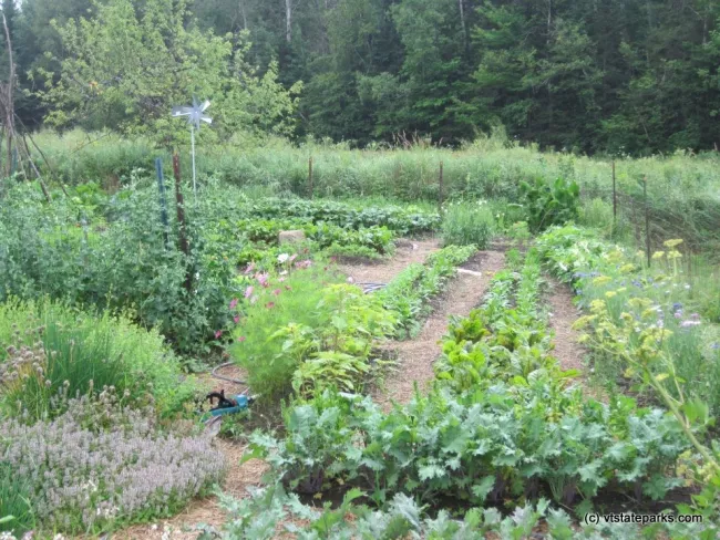 Garden at Seyon Lodge State Park all fresh veggies