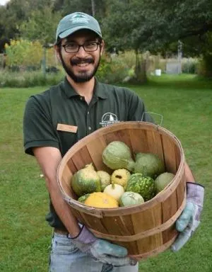 Picking gourds at Seyon