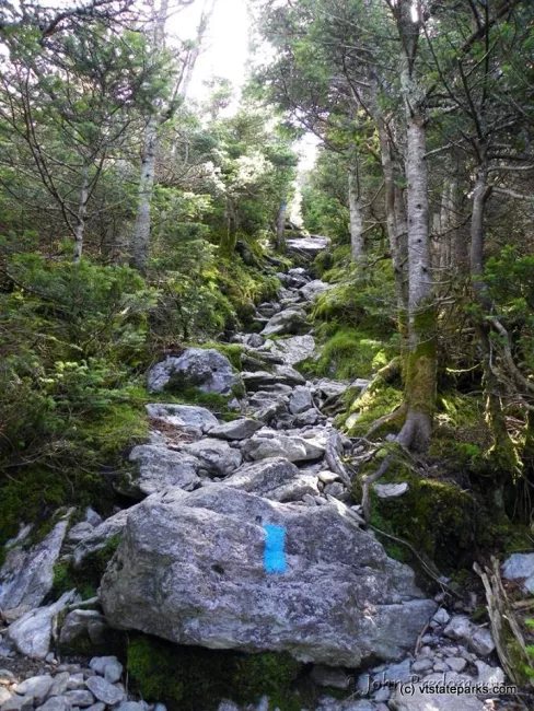 Trail to Mt Mansfield from Underhill State Park by John Predom