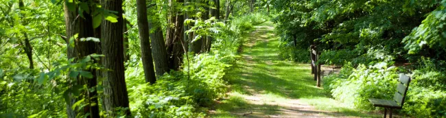 Wilgus State Park 1